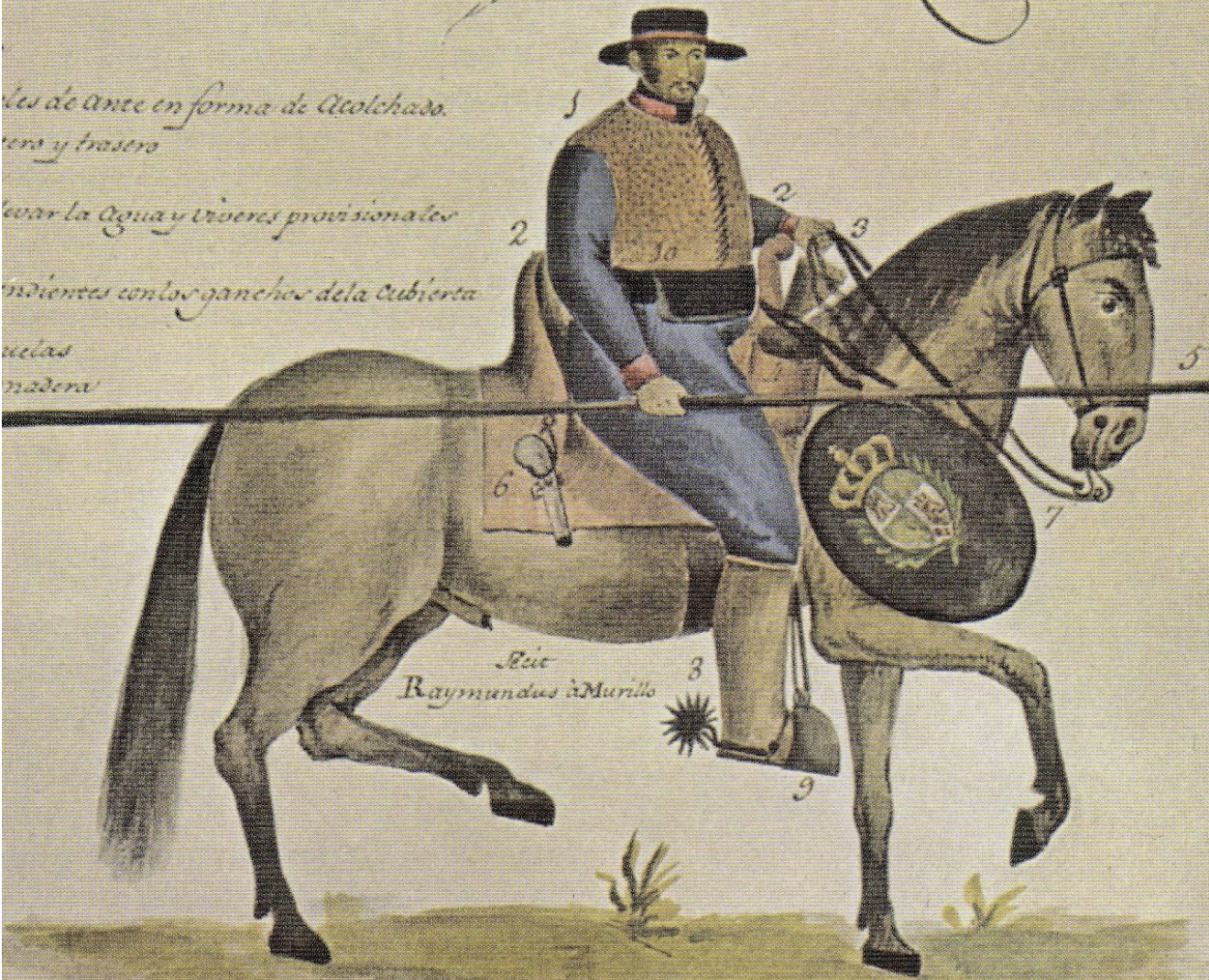 horse.png